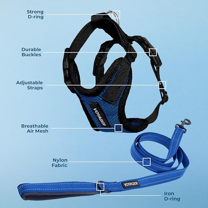 Voyager Step-in Lock Dog Harness w Reflective Dog Leash Combo Set with Neoprene Handle 5ft - Supports Small, Medium and Large Breed Puppies/Cats by Best Pet Supplies - Royal Blue/Black Trim, XS