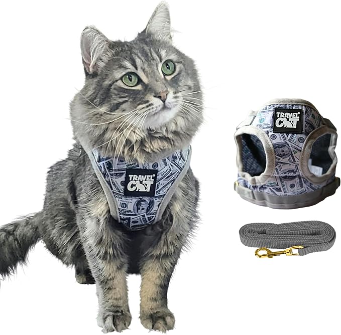 Travel Cat Harness and Leash Set - Adjustable Fit Mesh Cat Harness and Reflective Strap - Comfort Escape Proof Harness for Cats, Kitten for Outdoor Walking, Hiking (Medium, Cashcat)