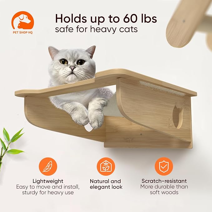 Cat Wall Shelves Furniture for Climbing - Cat House Wall Mounted - Indoor Wooden Floating Cat Furniture - Different Models Including Shelves, Perches, Hammock, Bed, Bridges, Walkways