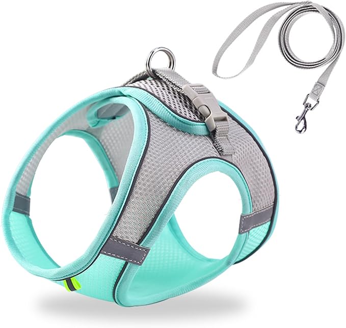 Cat Harness and Leash Set Soft Adjustable Escape Proof Cat Leash Breathable Comfortable Vest Easy to Wear Kitten/Small Dogs Harness for Outdoor Walking Green S