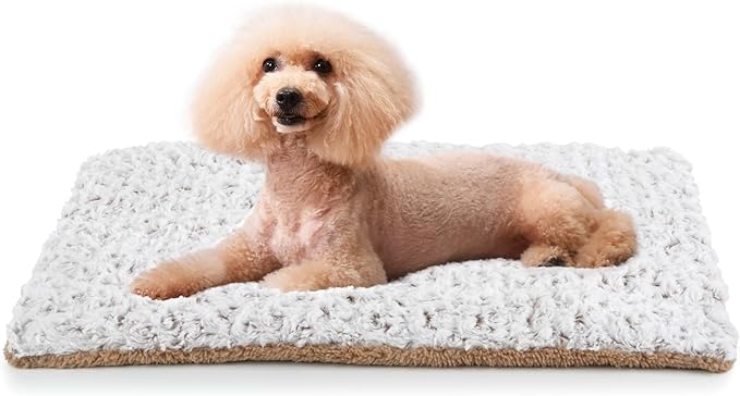 Self Warming Cat Bed, 30" x 21" Self Heating Pet Pad, Double Sided Heated Dog Mat Thermal Blanket for Large Kittens Small Puppy