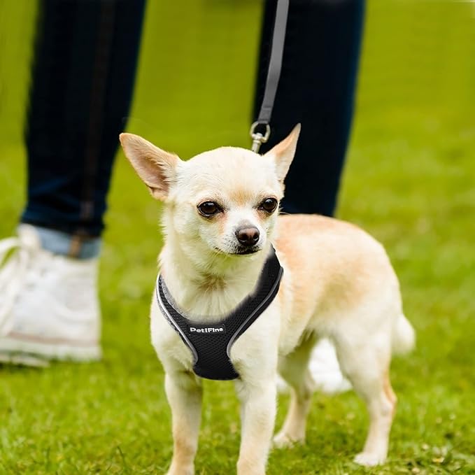 PetiFine Step in Small Dog Harness and Leash Set, Breathable All Weather Air Mesh Reflective Escape Proof, Step-in Vest Harnesses for Puppy(XS, Black)