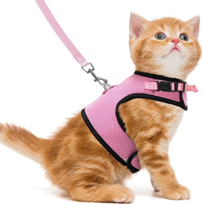 PUPTECK Soft Mesh Cat Vest Harness and Leash Set Puppy Padded Pet Harnesses Escape Proof for Cats Small Dogs, Pink Medium