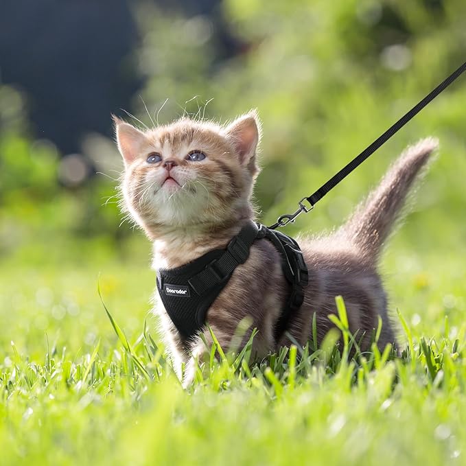 Dooradar Cat Harness and Leash Set, Escape Proof Safe Adjustable Kitten Vest Harnesses for Walking, Easy Control Soft Breathable Mesh Jacket with Reflective Strips for Cats, Black, XXS