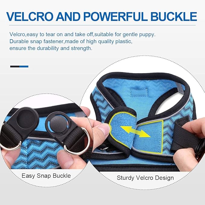 Soft Mesh Dog Harness and Leash Set, Step-in Reflective Breathable Comfort Padded Quick Dry Pet Puppy Vest Harness for Extra-Small/Small Medium Dogs and Cats (Blue, XS)