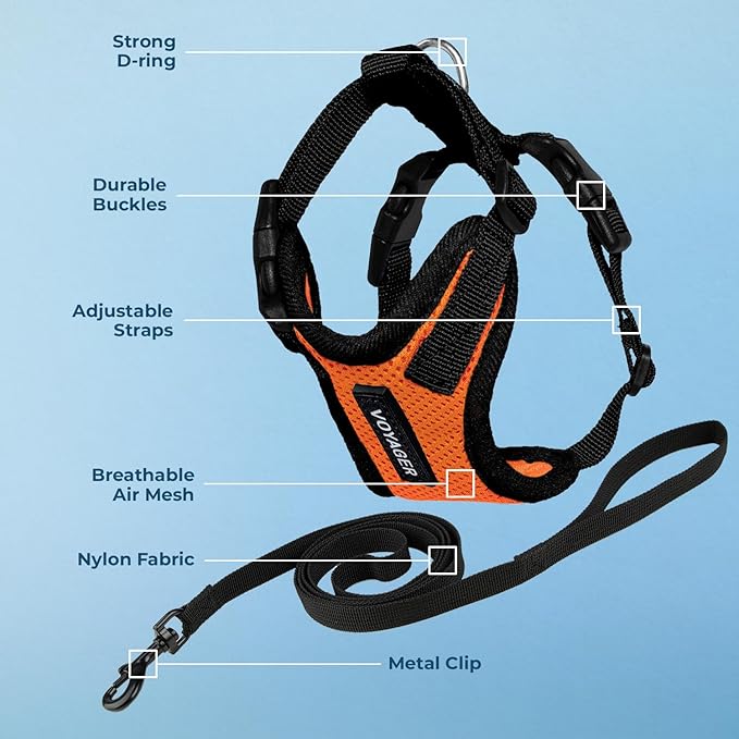 Voyager Step-in Lock Adjustable Cat Harness w. Cat Leash Combo Set with Neoprene Handle 5ft - Supports Small, Medium and Large Breed Cats by Best Pet Supplies - Orange/Black Trim, S