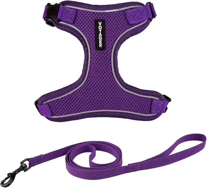 Voyager Escape Proof Cat Harness and Leash Set with Reflective Stitching, Neoprene Handle 5ft - Supports Small, Medium and Large Cats, Kittens for Walking by Best Pet Supplies - Purple, XXS