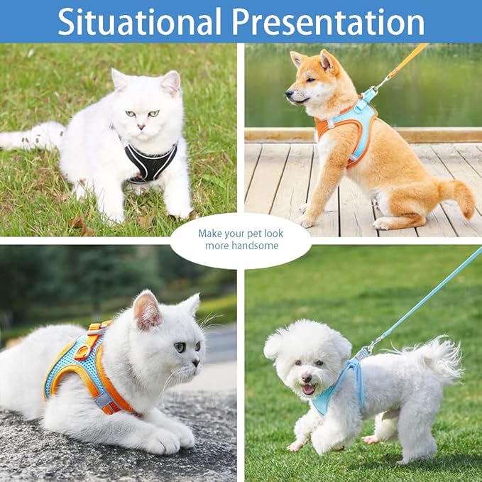 Cat and Small-Medium Dog Harness, No-Pull Pet Vest with Leash for Walking, Puppy Harness Set, Step-in Dog Harness for Small Breeds, Adjustable Mesh Harness