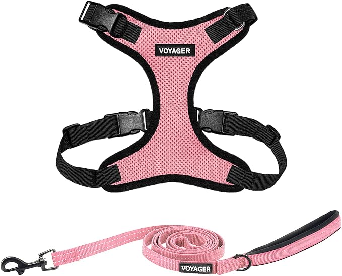 Voyager Step-in Lock Dog Harness w Reflective Dog Leash Combo Set with Neoprene Handle 5ft - Supports Small, Medium and Large Breed Puppies/Cats by Best Pet Supplies - Pink/Black Trim, XL
