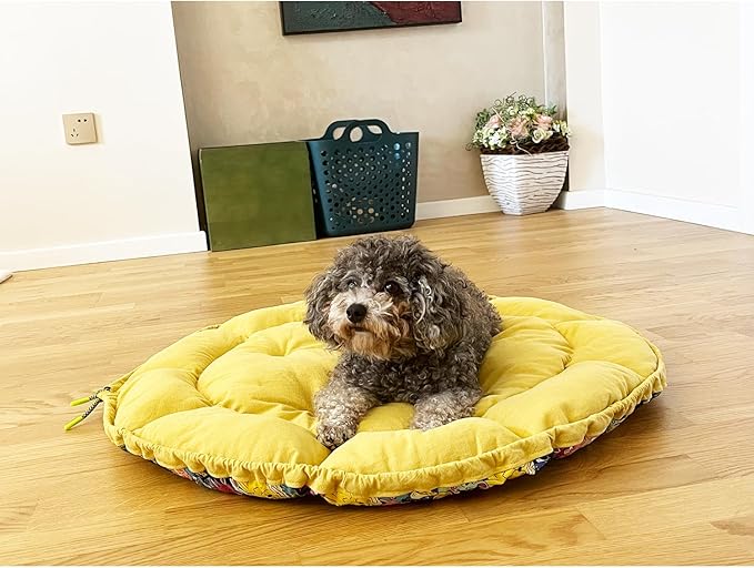 Dog Beds for Small Dogs - Round Cat Beds for Indoor Cats, Washable Pet Bed for Puppy and Kitten with Lovely Cartoon Pattern, 20 Inches,Citrine
