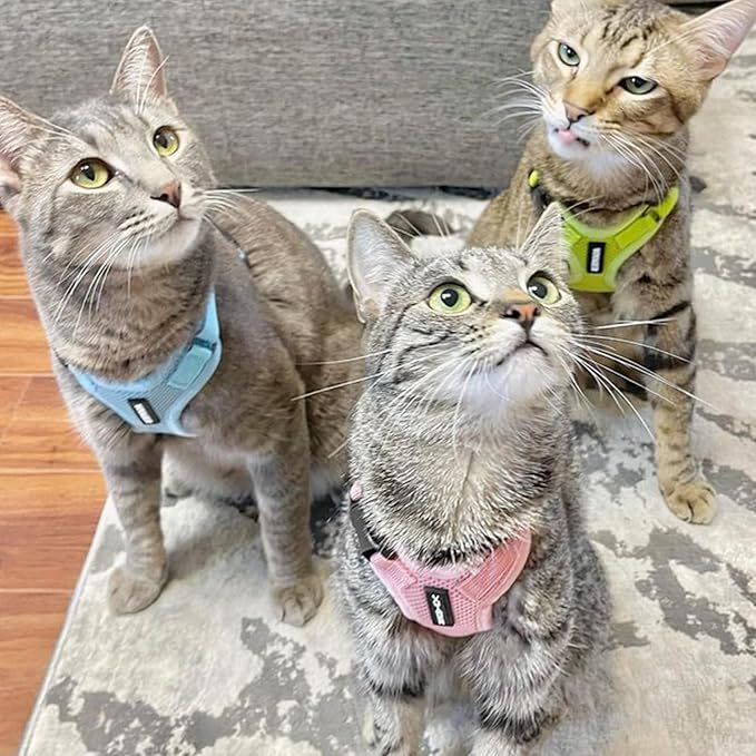Voyager Step-in Lock Adjustable Cat Harness w. Cat Leash Combo Set with Neoprene Handle 5ft - Supports Small, Medium and Large Breed Cats by Best Pet Supplies - Pink, XXXS