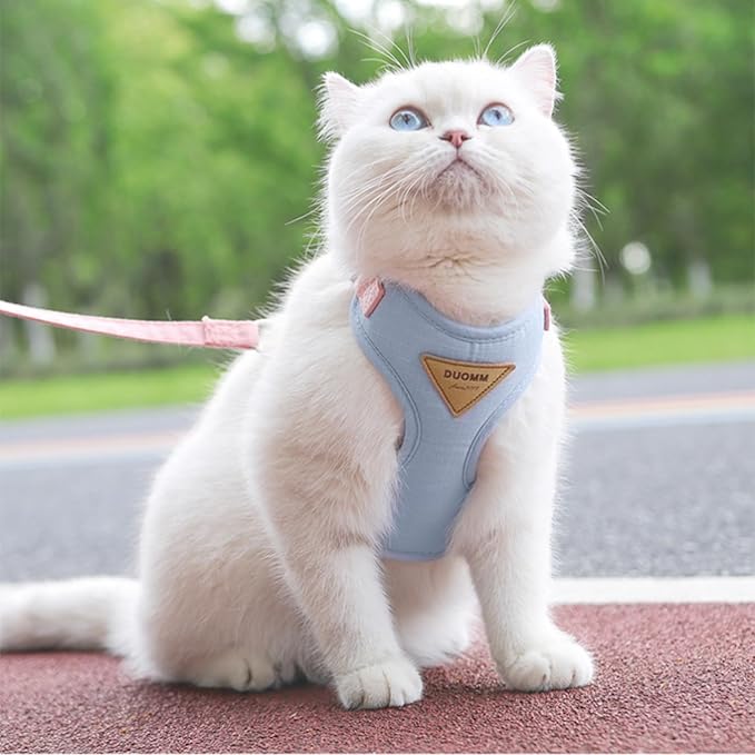 Escape-Proof Cat Harness and Leash Set - Adjustable and Comfortable - Ideal for Walking Cat Outdoors - Fits Kittens, Medium, and Large Cats (Blue, XS)