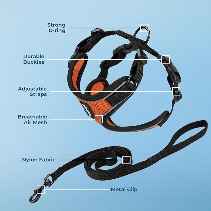 Voyager Escape Proof Cat Harness and Leash Set with Reflective Stitching, Neoprene Handle 5ft - Supports Small, Medium and Large Cats, Kittens for Walking by Best Pet Supplies - BT-Orange, XXXS