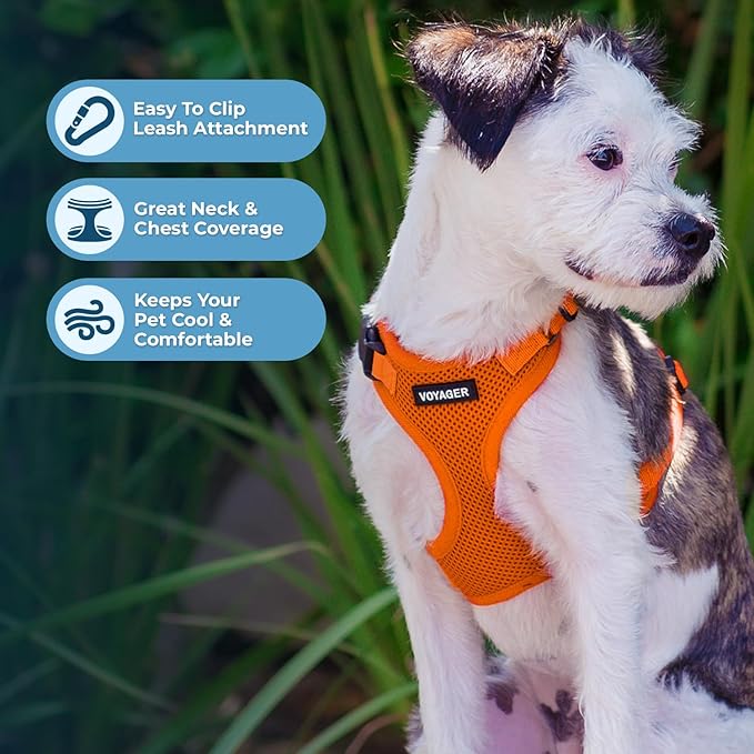 Voyager Step-in Lock Dog Harness w Reflective Dog Leash Combo Set with Neoprene Handle 5ft - Supports Small, Medium and Large Breed Puppies/Cats by Best Pet Supplies - Orange, XS