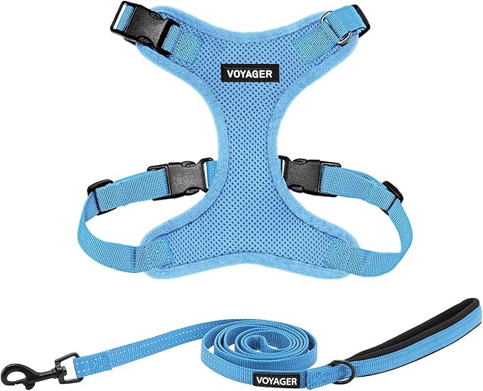 Voyager Step-in Lock Dog Harness w Reflective Dog Leash Combo Set with Neoprene Handle 5ft - Supports Small, Medium and Large Breed Puppies/Cats by Best Pet Supplies - Baby Blue, XS