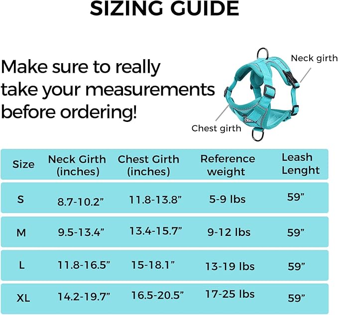 Cat Harness and Leash Set Escape Proof Tactical Extra Large Kitten Harness Emotional Support Cat Vest, Turquoise, XL