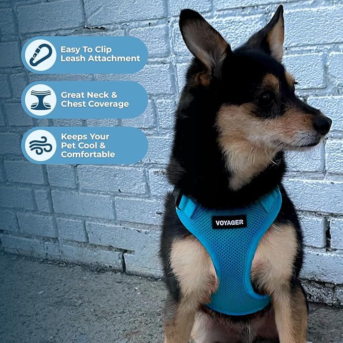 Voyager Step-in Lock Pet Harness - All Weather Mesh, Adjustable Step in Harness for Cats and Dogs by Best Pet Supplies - Turquoise, M