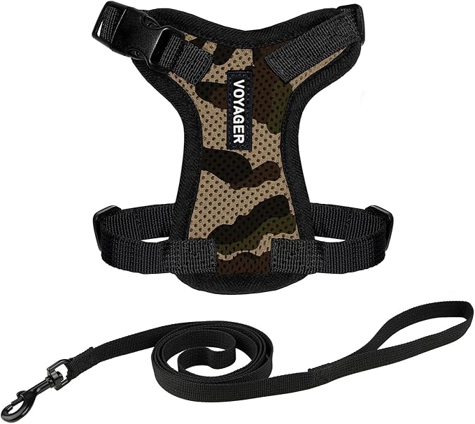 Voyager Step-in Lock Adjustable Cat Harness w. Cat Leash Combo Set with Neoprene Handle 5ft - Supports Small, Medium and Large Breed Cats by Best Pet Supplies - Army/Black Trim, XXS