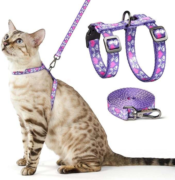 Cat Harness and Leash Set - Escape Proof Vest Harness for Cat, Comfortable Soft Lightweight, Easy Adjustable Cat Collar Harness for Small Medium Large Cats (Rabbit in Wonderland)
