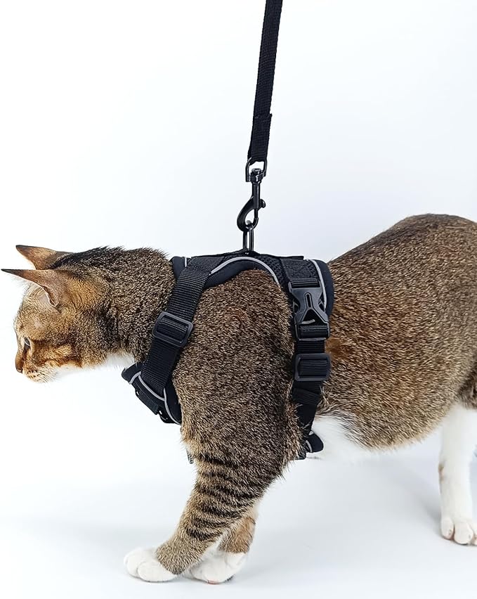 Cat Harness and Leash Set Escape Proof Tactical Large Kitten Harness Emotional Support Cat Vest, Black, L