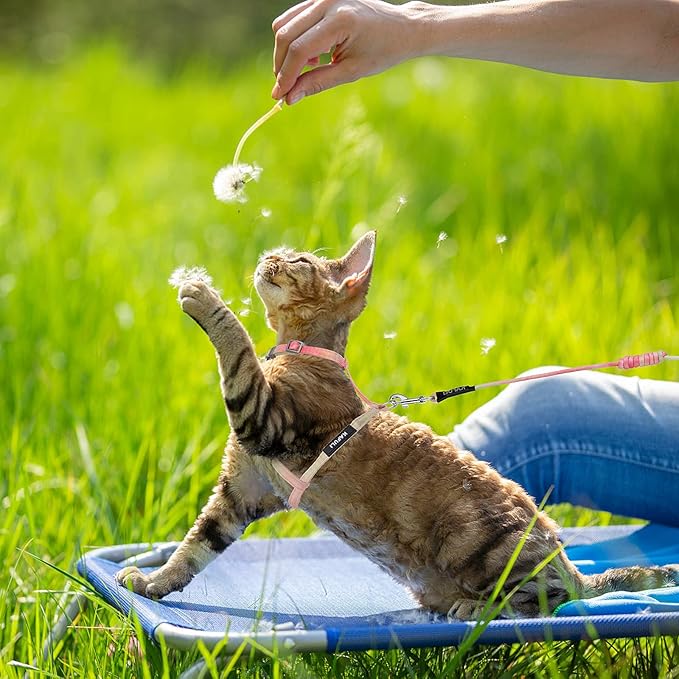 TIESOME Cat Harness and Leash Set, Adjustable Gradient Kitten Harness Escape Proof Harness with Leash for Kitty Outdoor Walking (Orange)