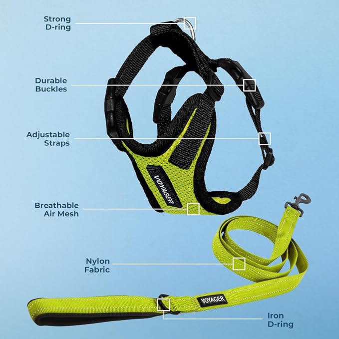Voyager Step-in Lock Dog Harness w Reflective Dog Leash Combo Set with Neoprene Handle 5ft - Supports Small, Medium and Large Breed Puppies/Cats by Best Pet Supplies - Lime Green/Black Trim, L