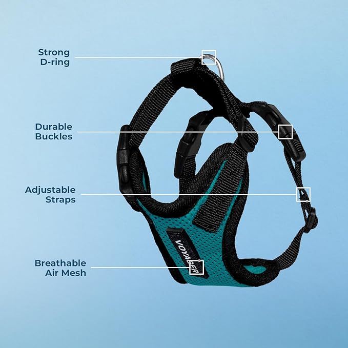 Voyager Step-in Lock Pet Harness - All Weather Mesh, Adjustable Step in Harness for Cats and Dogs by Best Pet Supplies - Turquoise/Black Trim, XS
