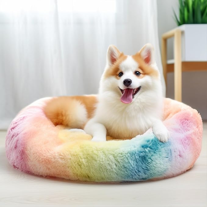 ShellKingdom Cat Beds for Indoor Cats, 24 inch Large Dog Bed for Small Medium Large Dogs, Cute Round Fluffy Plush Pet Bed for Puppy Kitten, Self Warming Calming Soft Donut Cat Bed, Rainbow