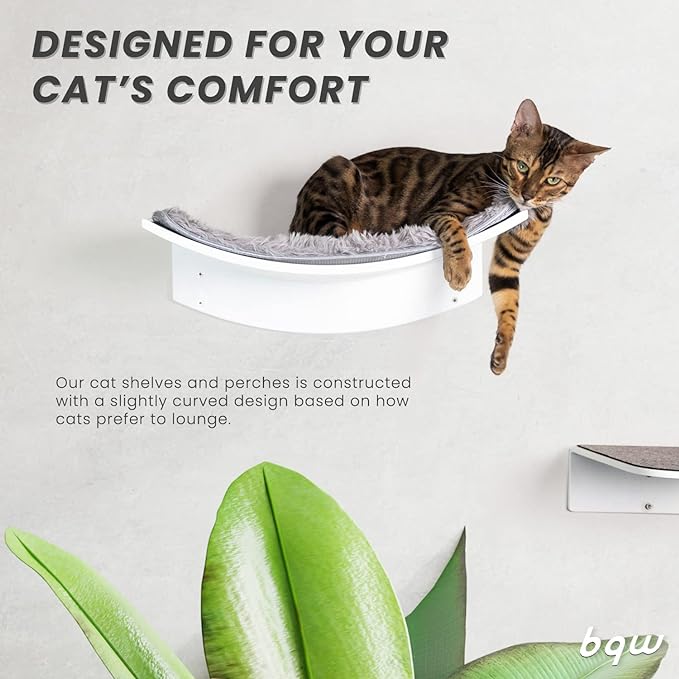 Floating Cat Shelf Wall Mounted Cat Bed Furniture Climbing Wall for Cat Perching Sleeping Lounging with 2 Steps (Curved)