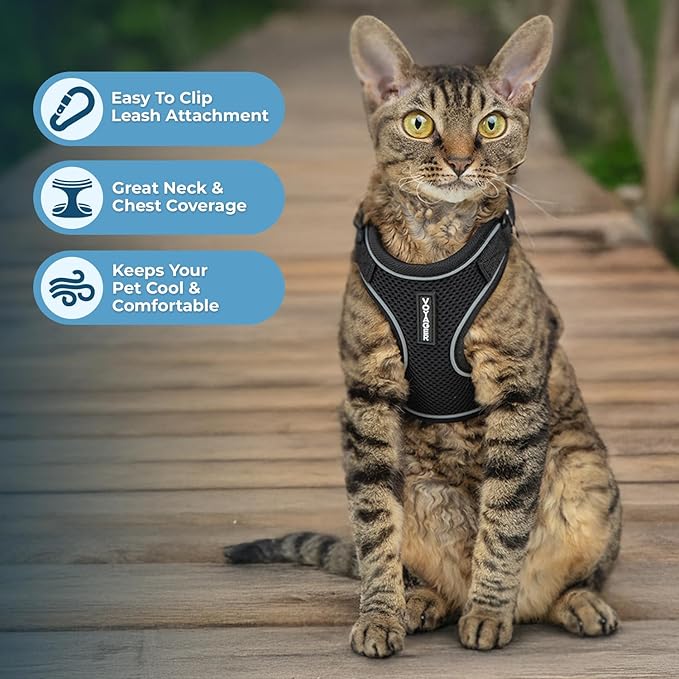 Voyager Escape Proof Cat Harness and Leash Set with Reflective Stitching, Neoprene Handle 5ft - Supports Small, Medium and Large Cats, Kittens for Walking by Best Pet Supplies - Black, XXS