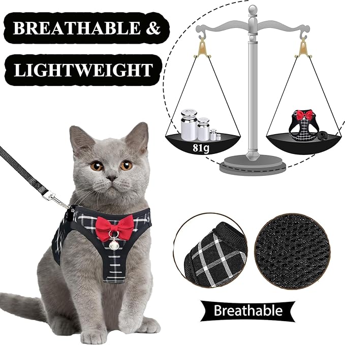 Cat Leash and Harness Set,Breathable Dog Harness,Pet Harness,Adjustable Mesh cat Harness and Leash Escape Proof for Puppy Cat Rabbit (Black, S)