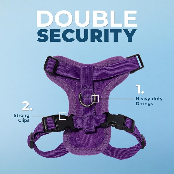 Voyager Step-in Lock Adjustable Cat Harness w. Cat Leash Combo Set with Neoprene Handle 5ft - Supports Small, Medium and Large Breed Cats by Best Pet Supplies - Purple, XS