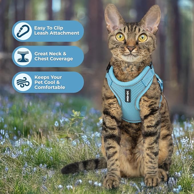 Voyager Escape Proof Cat Harness and Leash Set with Reflective Stitching, Neoprene Handle 5ft - Supports Small, Medium and Large Cats, Kittens for Walking by Best Pet Supplies - Baby Blue, S