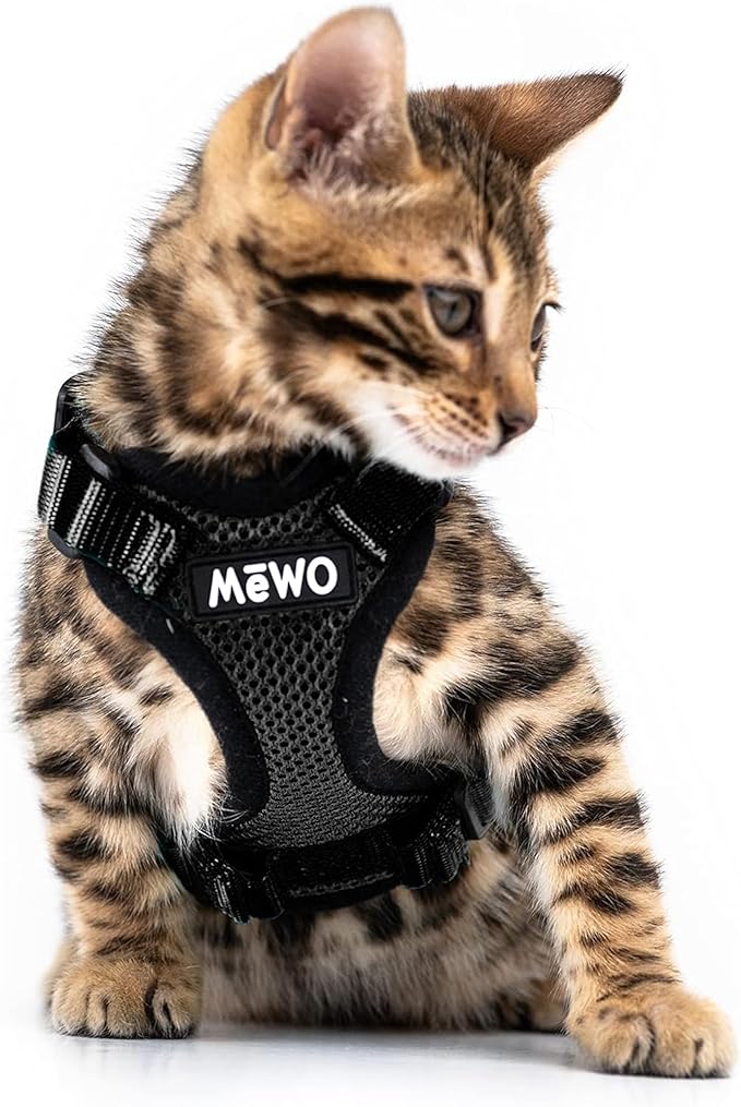 MeWO Kitten Leash and Harness Set - Escape Proof, Reflective, Adjustable for a Safe & Snug Fit - Small Cat Harness and Leash Set Cat Leashes and Harnesses for Walking Outdoors Kitten Harness and Leash