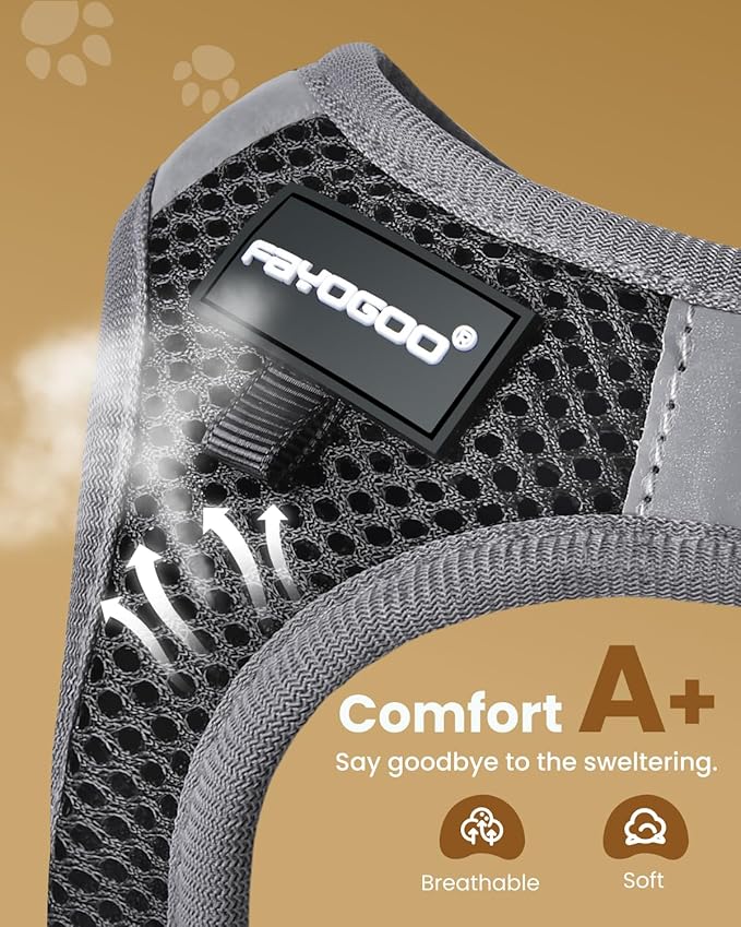 FAYOGOO Cat Harness and Leash Set for Walking Escape Proof, Kitten Adjustable Small Large Cat Lightweight Soft Vest Harness and Leash