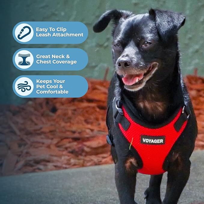 Voyager Step-in Lock Pet Harness - All Weather Mesh, Adjustable Step in Harness for Cats and Dogs by Best Pet Supplies - Red/Black Trim, XL