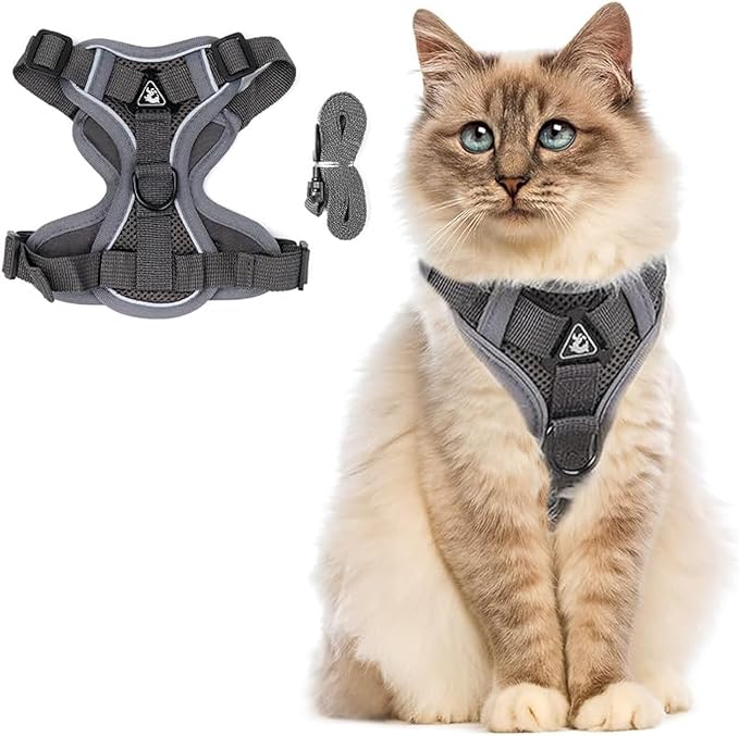 PetnBeyond Kitten Harness and Leash Set - Secure, Comfortable Control with Breathable Mesh Jacket - Adjustable Vest for Safe Walks with Reflective Strips - Kitty Escape Proof Kit (Small, Grey)