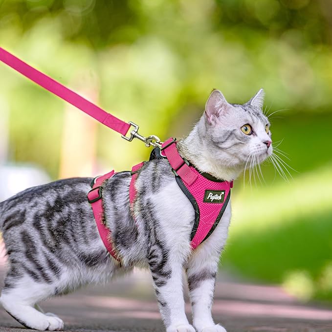 PUPTECK Cat Harness and Leash Set Escape Proof for Walking, Breathable Mash Vest Adjustable Harness for Cats Puppy Small Animals, Reflective at Night, Fuschia Medium