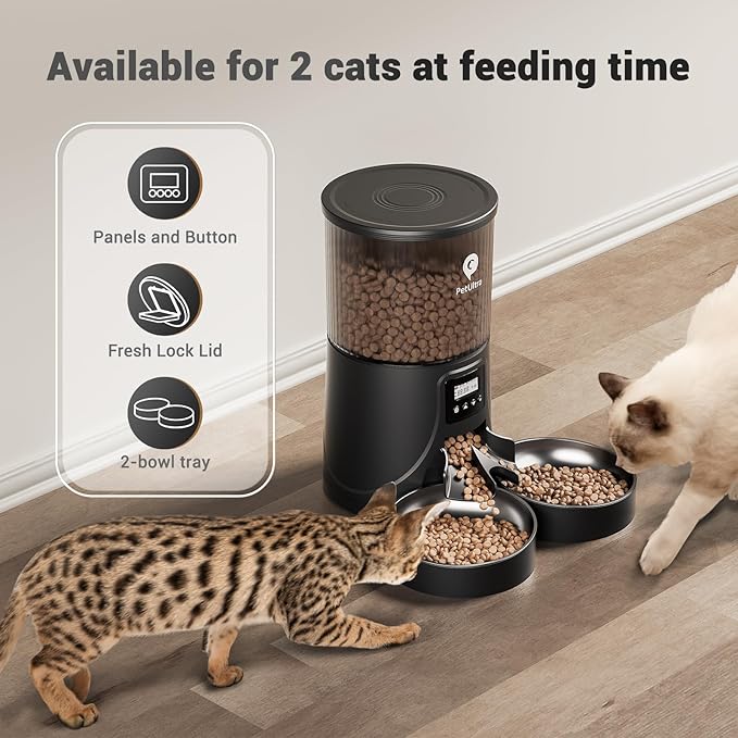 Automatic Cat Feeder 2 Cats: Dual Auto Timed Feeder | 16 Cups/4L for Cat & Small Dog Food Dispenser | Dual Power& Easy Clean | 1-6 Meals Portion Control