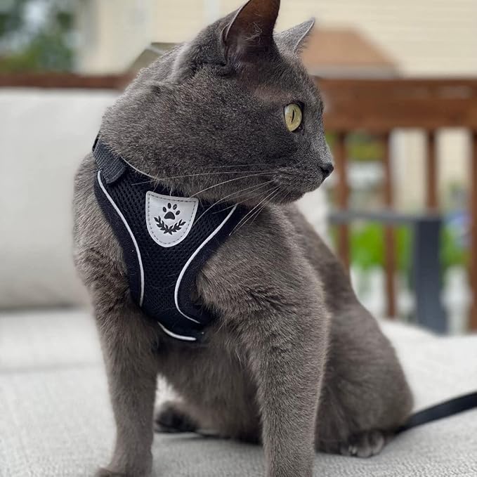 PUPTECK Cat Harness and Leash Set Escape Proof Reflective Cat Walking Harness Adjustable Soft Breathable Mesh Vest for Small Pets, Black, S