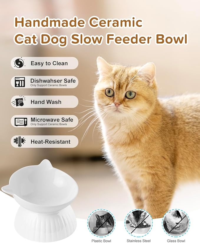 2 Ceramic Raised Cat Food Bowls, Elevated Cat Food and Water Bowl Set, Pet Bowl for Indoor Cats and Small Dogs, Anti-Vomiting Cat Dog Feeder with Plastic Base, Dishwasher Safe (Pure White)