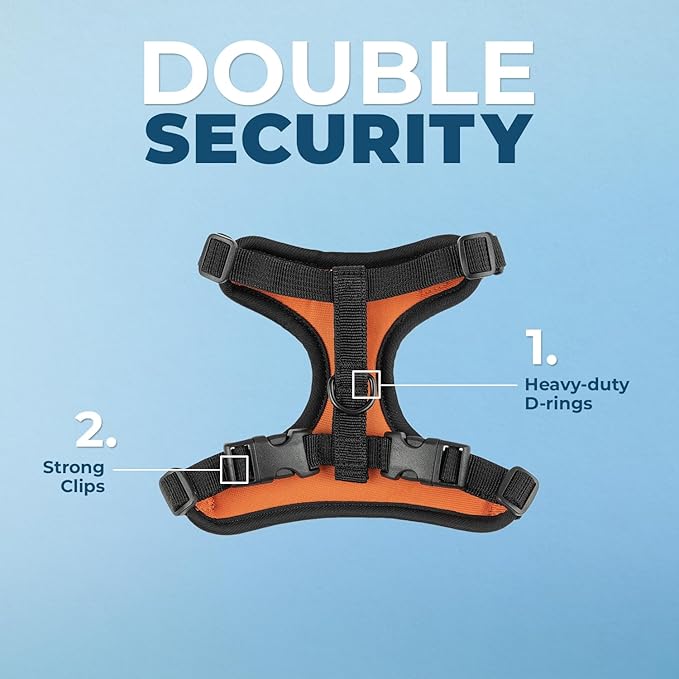 Voyager Escape Proof Cat Harness and Leash Set with Reflective Stitching, Neoprene Handle 5ft - Supports Small, Medium and Large Cats, Kittens for Walking by Best Pet Supplies - Black Trim-Orange, XS