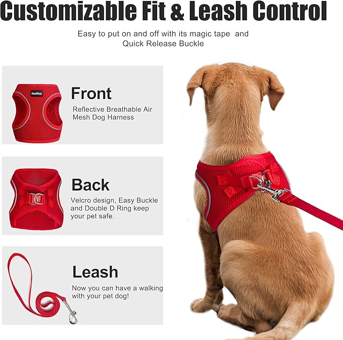 PetiFine Extra Small Step in Dog Harness and Leash Set, Cat Harness and Leash Escape Proof, All Weather Mesh Reflective, Step-in Air Vest Harnesses for Puppy(XXS, Red)