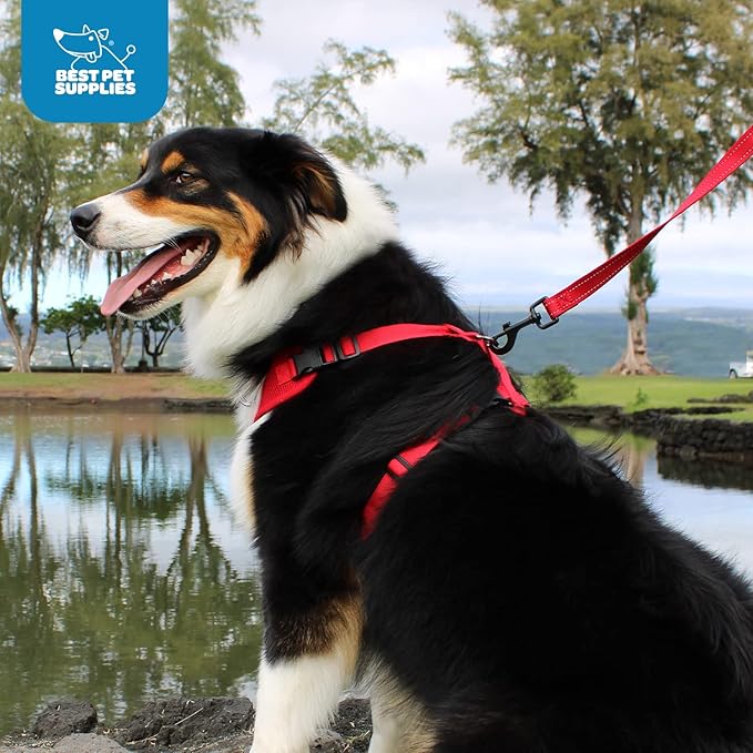 Voyager Step-in Lock Pet Harness - All Weather Mesh, Adjustable Step in Harness for Cats and Dogs by Best Pet Supplies - Army/Black Trim, L