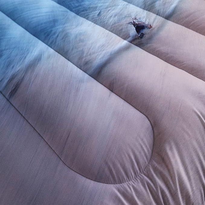 AILONEN Beach Comforter Set for Kids Boys Girls, Ocean Theme Bedding Set Queen Size,Beach Pattern Quilted Duvet,Ultra Soft Coastal Beach Quilt,1 Comforter 2 Pillowcases 3 Piece