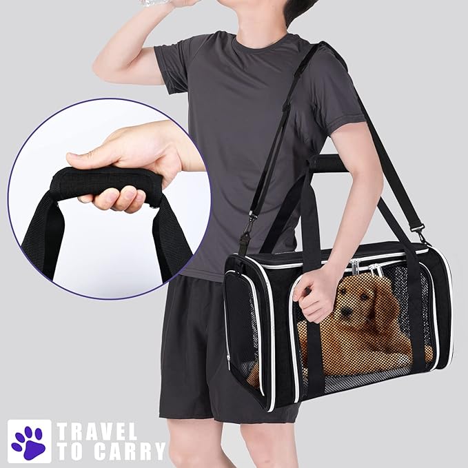 BAGLHER Pet Travel Carrier, Cat Carriers Dog Carrier for Small Medium Cats Dogs Puppies, Airline Approved Small Dog Carrier Soft Sided, Collapsible Puppy Carrier. Black