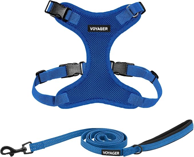 Voyager Step-in Lock Dog Harness w Reflective Dog Leash Combo Set with Neoprene Handle 5ft - Supports Small, Medium and Large Breed Puppies/Cats by Best Pet Supplies - Royal Blue, XL