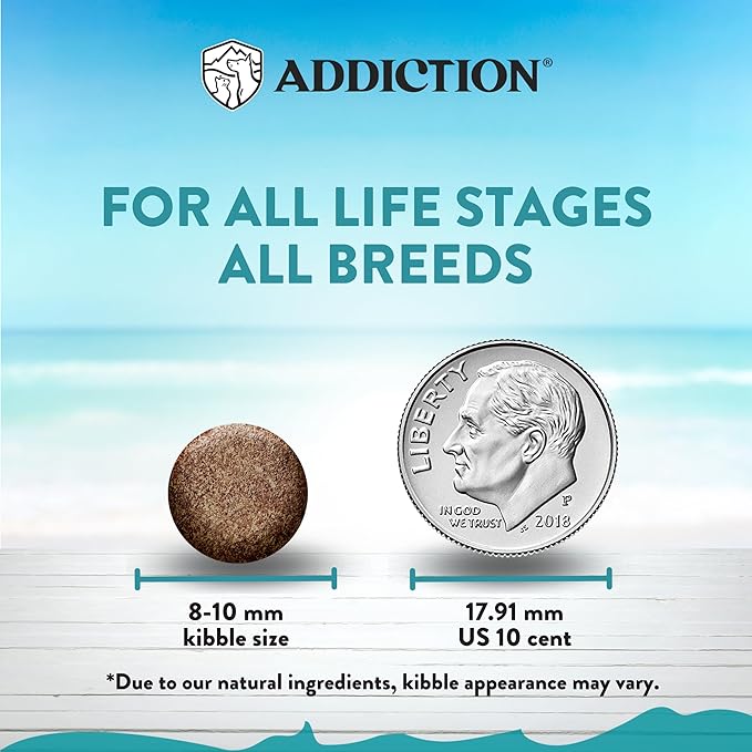 Addiction Salmon Bleu – Premium New Zealand King Salmon Recipe – Skin, Coat & Cognitive Health - Complete & Balanced - Omega-3 Rich - Grain-Free Dry Cat Food for All Life Stages – 4lbs (2 Packs)