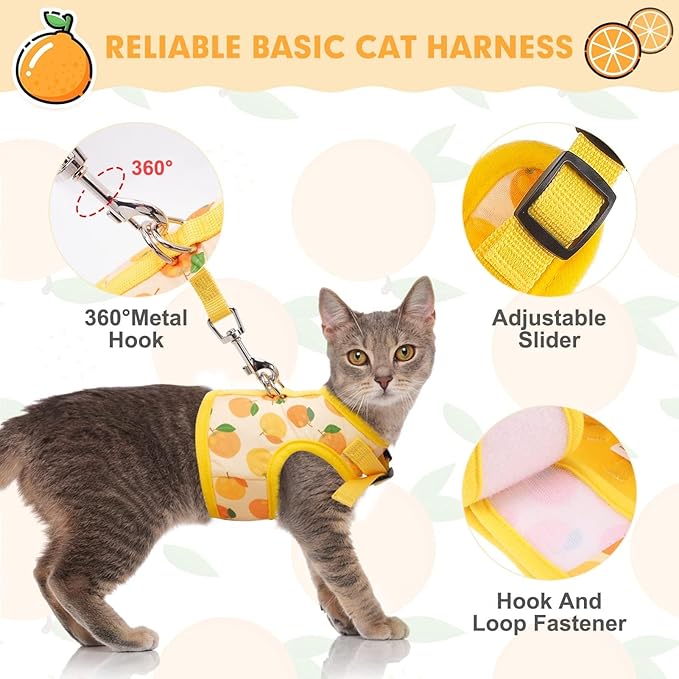 BINGPET Cat Harness with Leash Escape Proof - Fashionable Mesh Cat Dog Walking Harness Leads, Adjustable for Kitties Puppies Small Animals,Orange,M