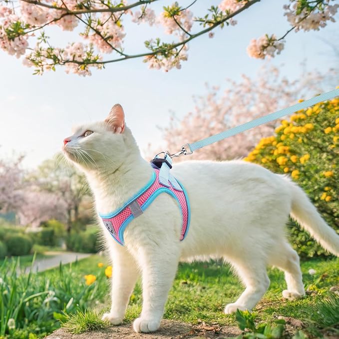 SCENEREAL Cat Harness and Leash Set Escape Proof, Adjustable Soft Air Mesh Kitten Harnesses for Girls Boys Small Medium Big Cats, Reflective Light Travel Pet Walking Vest for Puppy Rabbit, Pink S